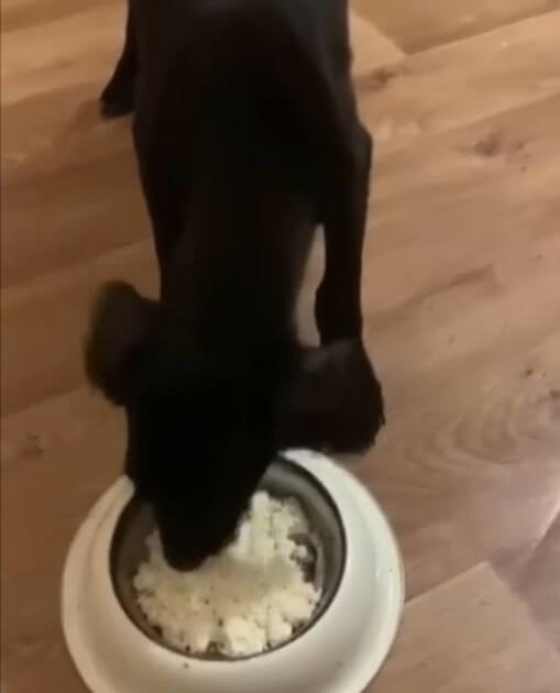 Bucky slowly getting used to normal life