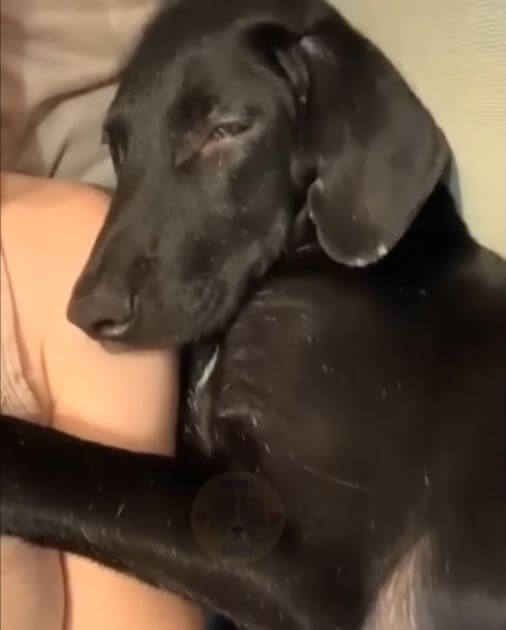 When Bucky started trusting humans again