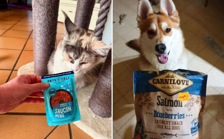 How Safe Is Your Pet’s Food