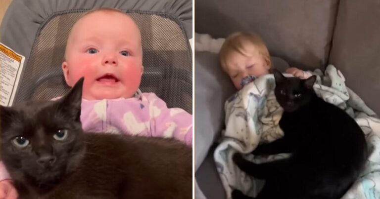 Rescued Cat Ignores Human Mom