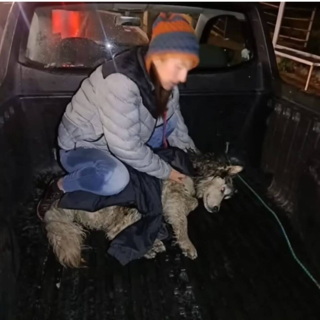 The moment Russell was rescued. 