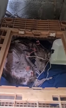 Angela was found like this