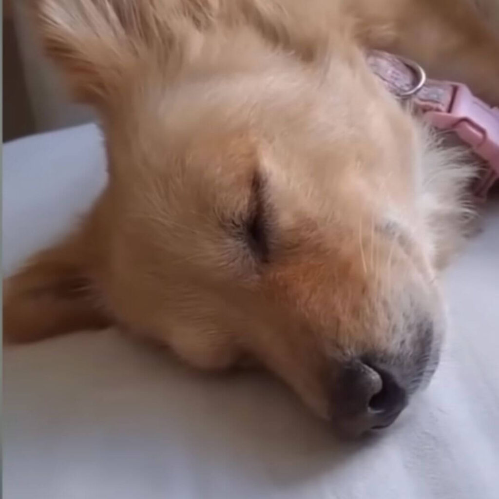 Hope now lives with freedom and happiness