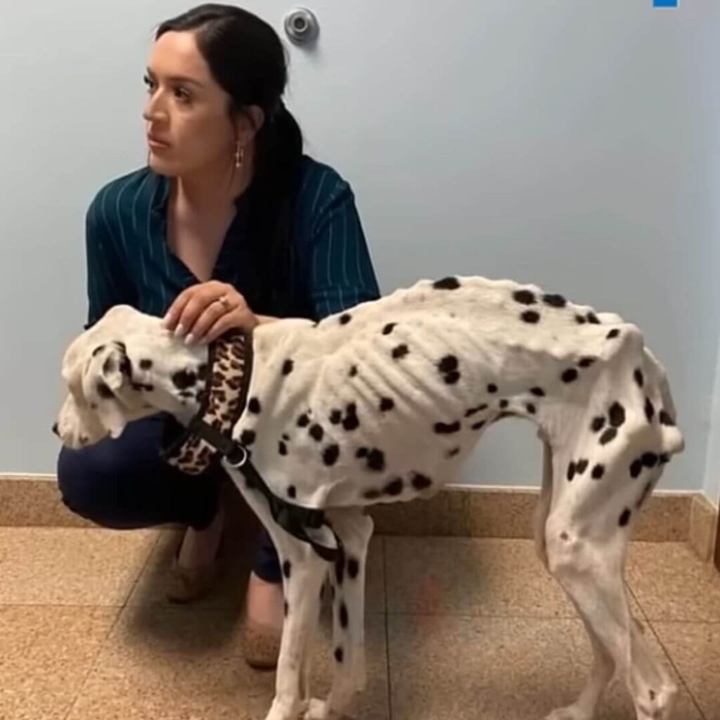 Harvey safe in the hands of his rescuer