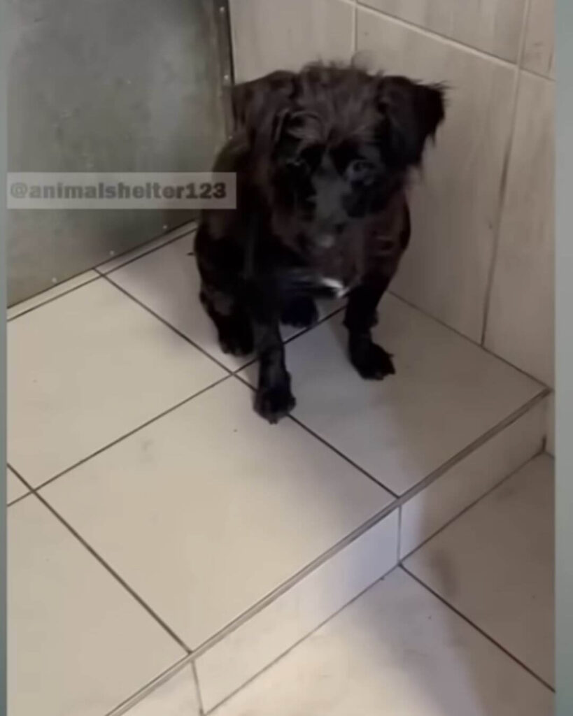 Her psychological pain were healing slowly