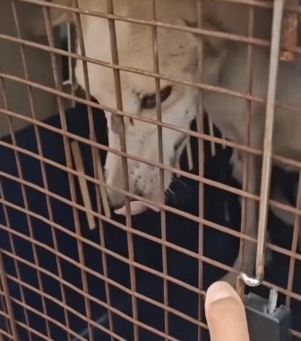 Polito starting his journey to healing and hope