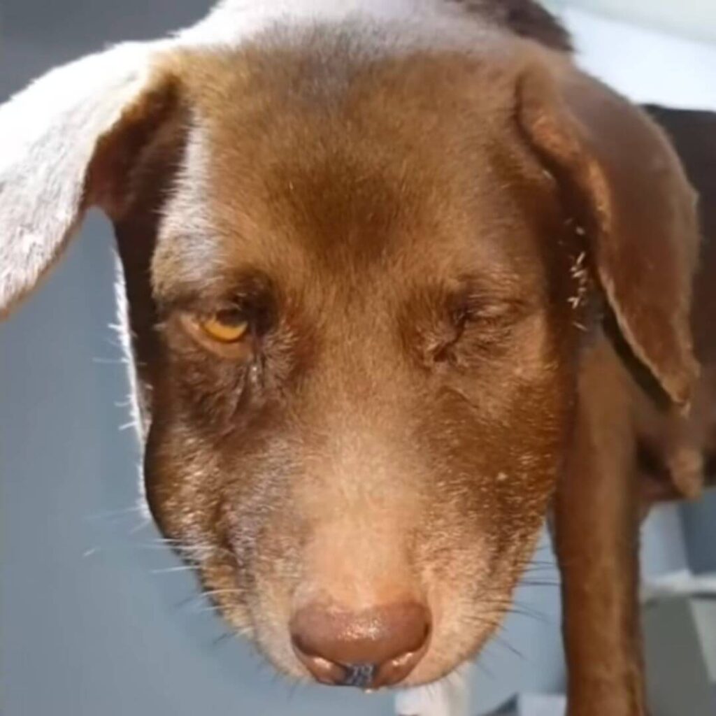 She couldn't even open her eyes