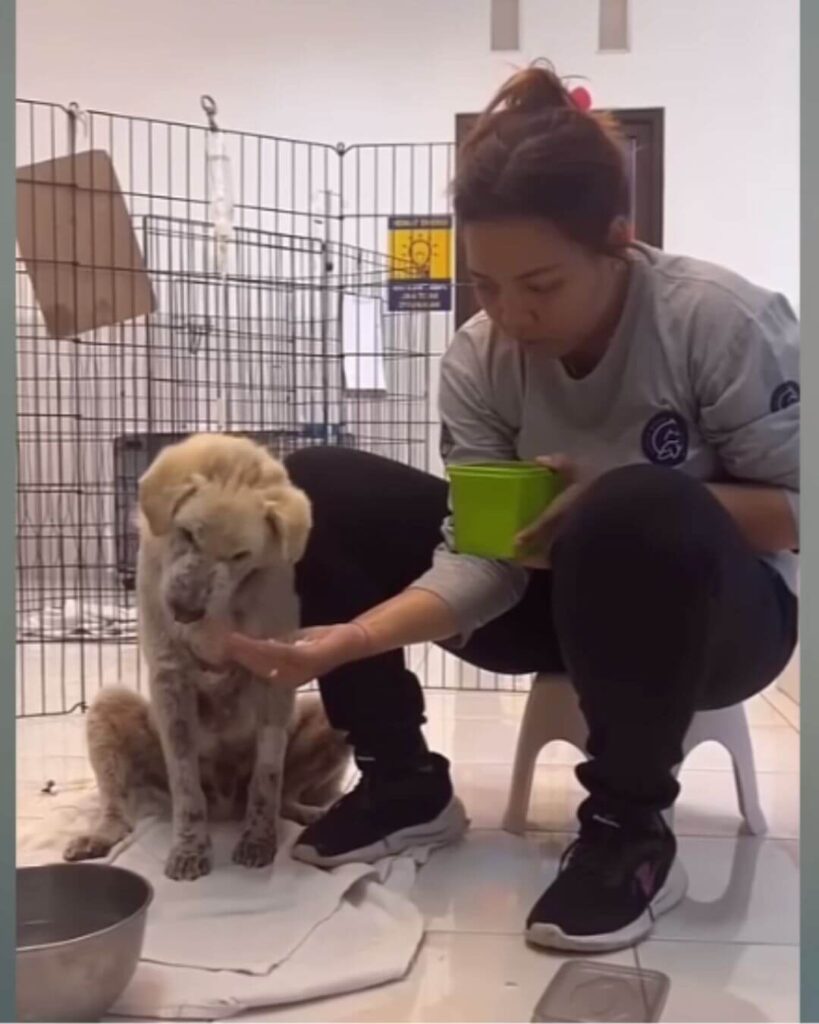 His rescuers had to feed him