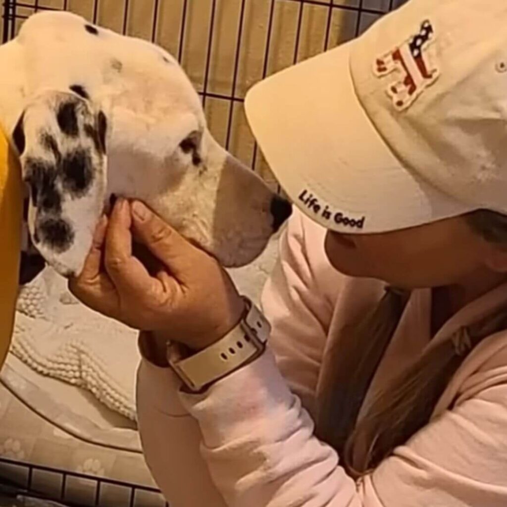 Harvey slowly started trusting humans