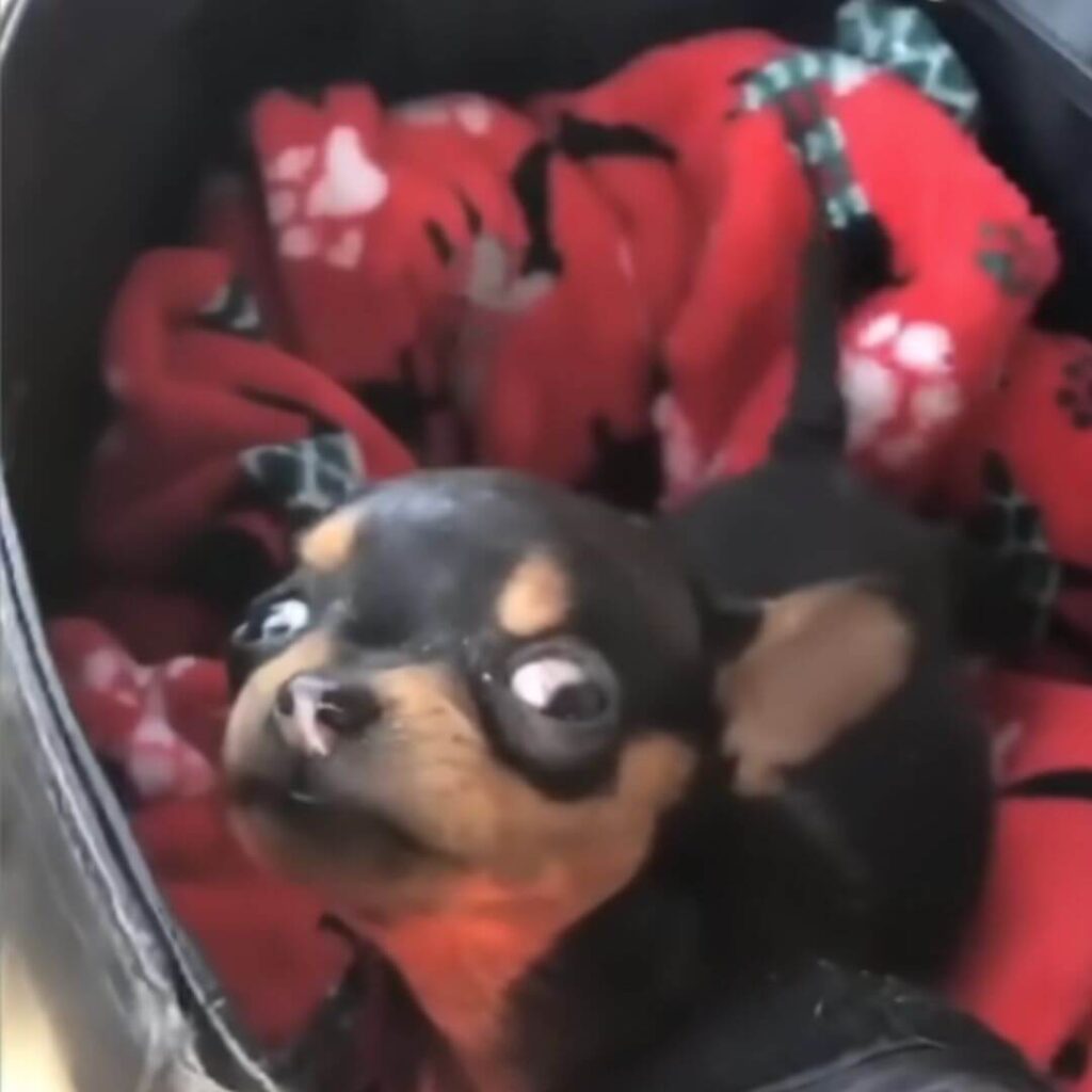 This boy could no longer see