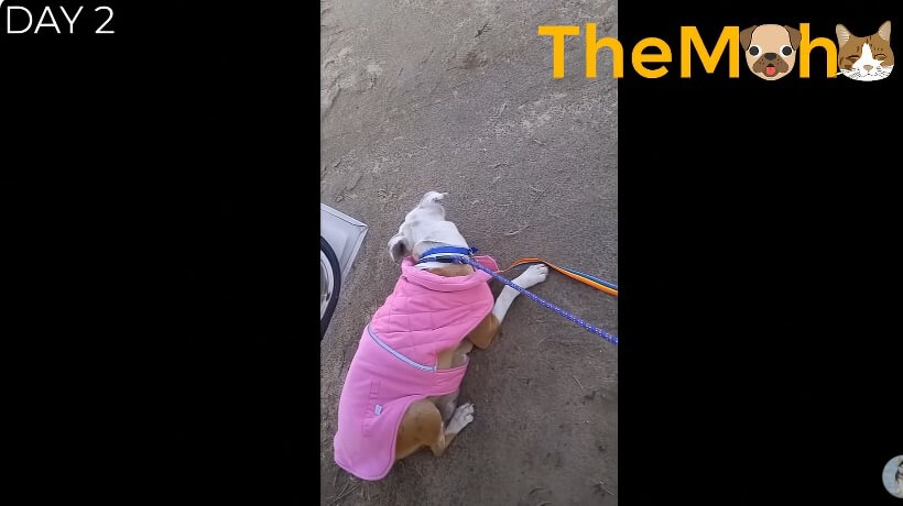 Betty finally got caught