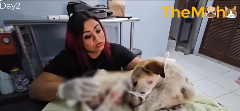 Polito was diagnosed with TVT