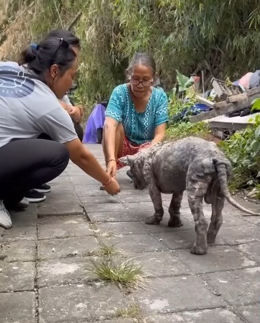 This is where help arrived to Poleng