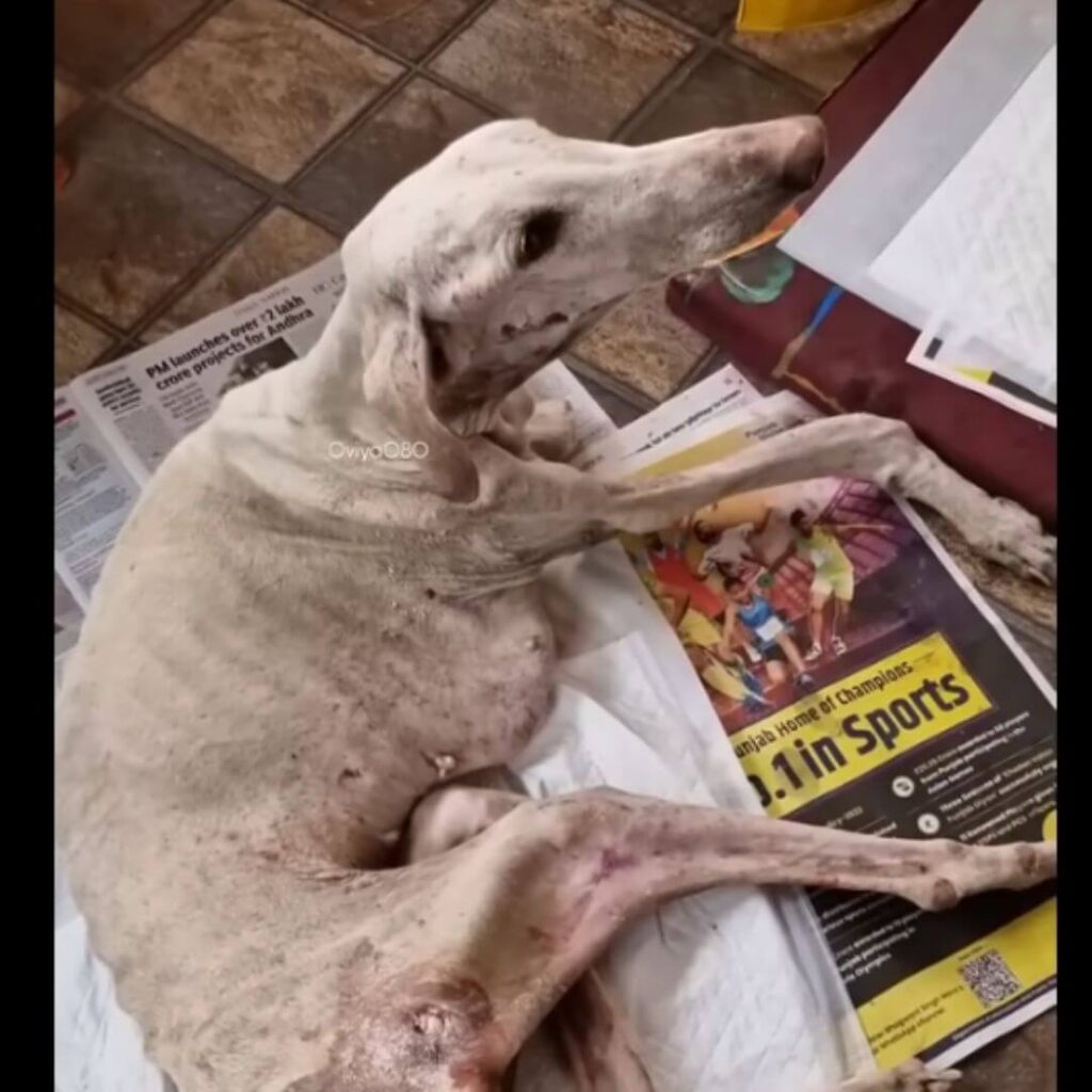 Diana's life slowly started to change