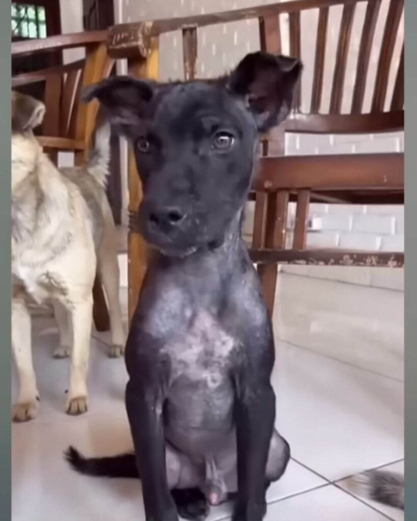 Koda finally starting to change