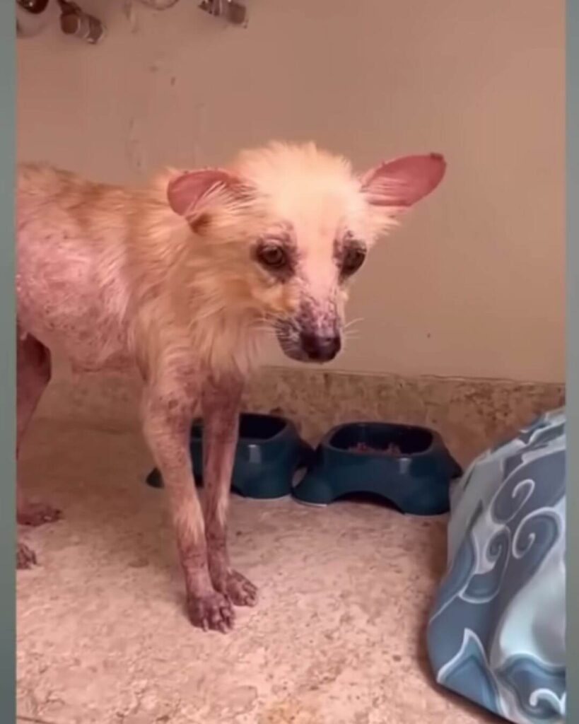 Hope slowly getting better