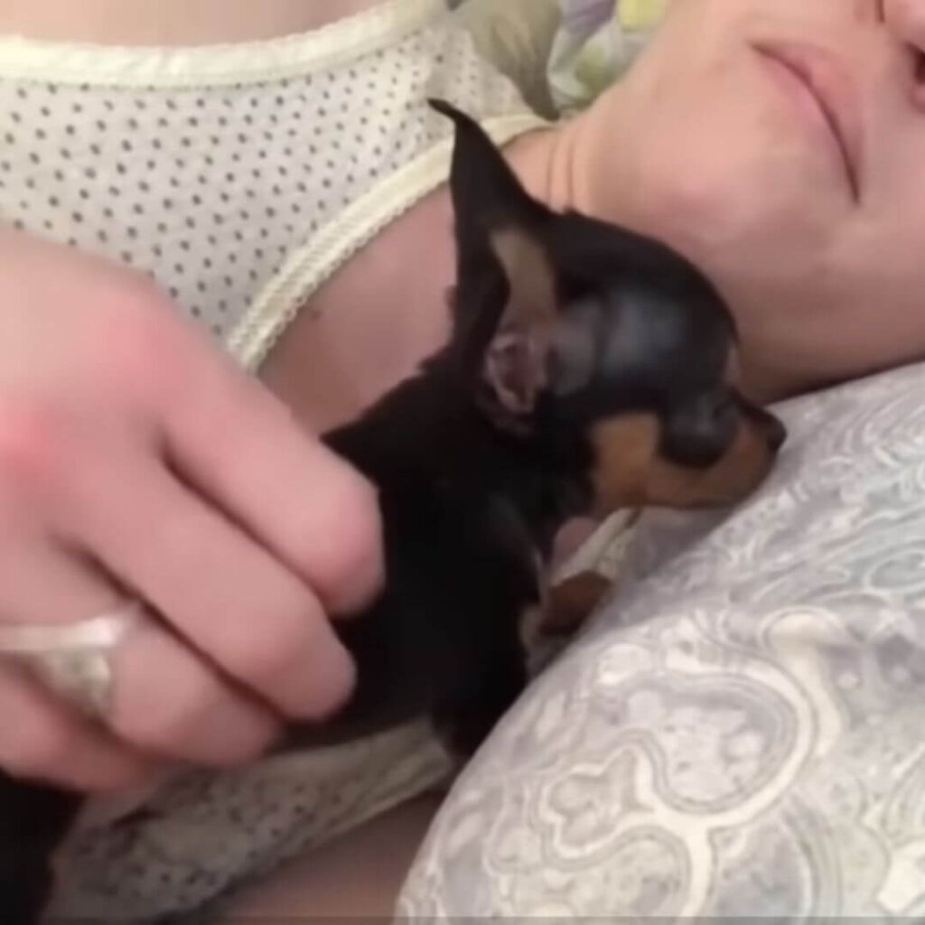 Rico in the caring hands of his rescuer