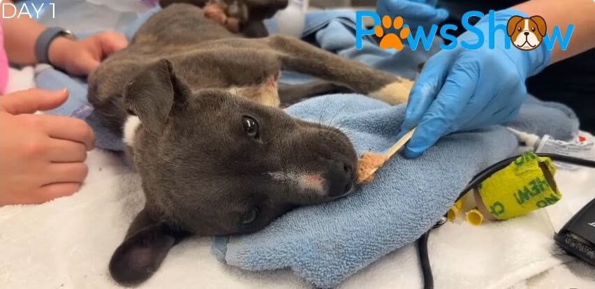 Prayer getting her treatment done