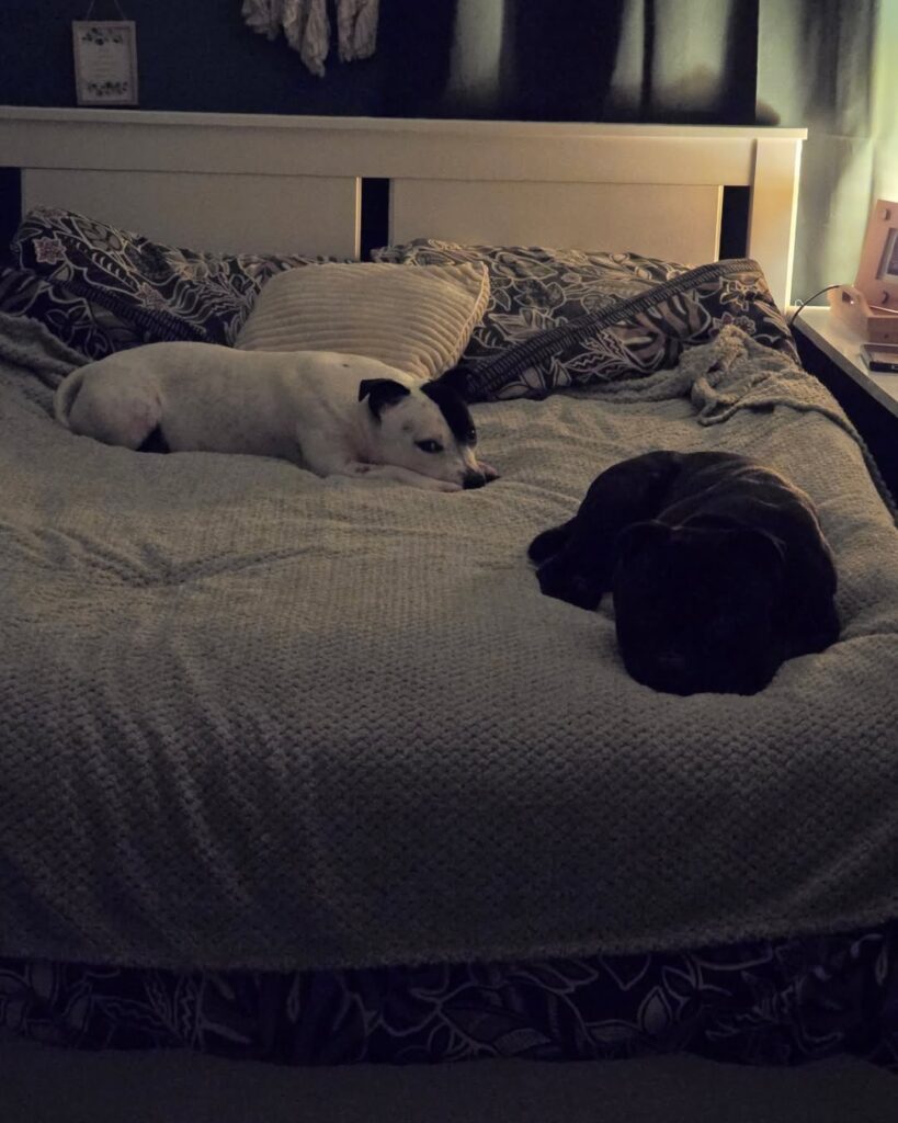 Image source: Instagram@lady.m.smile_