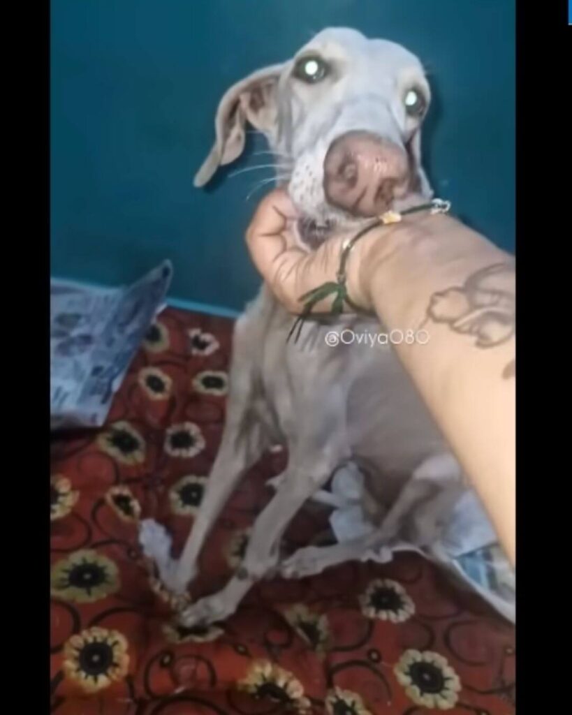 Diana now living her life happily