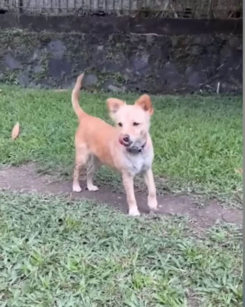 Hope has completely changed now