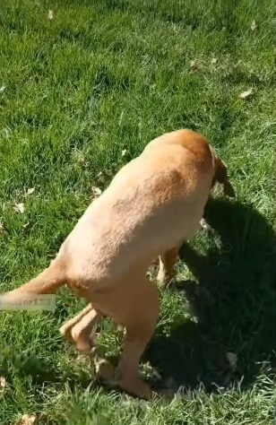 Berlin learning to stand again