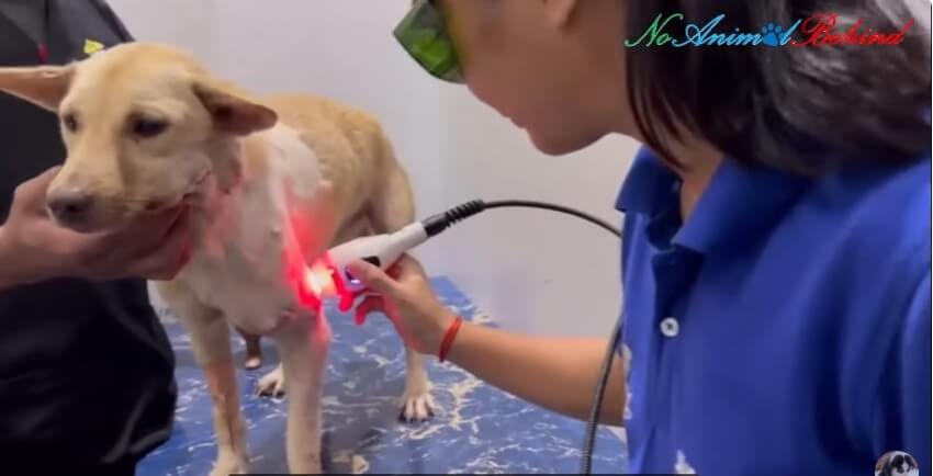 Tiktok getting her open wounds treated