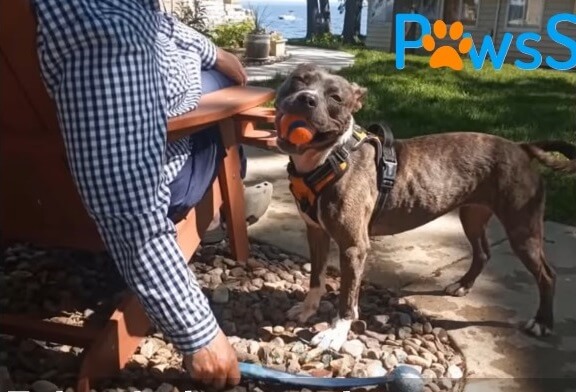 Prayer in her new home with new name