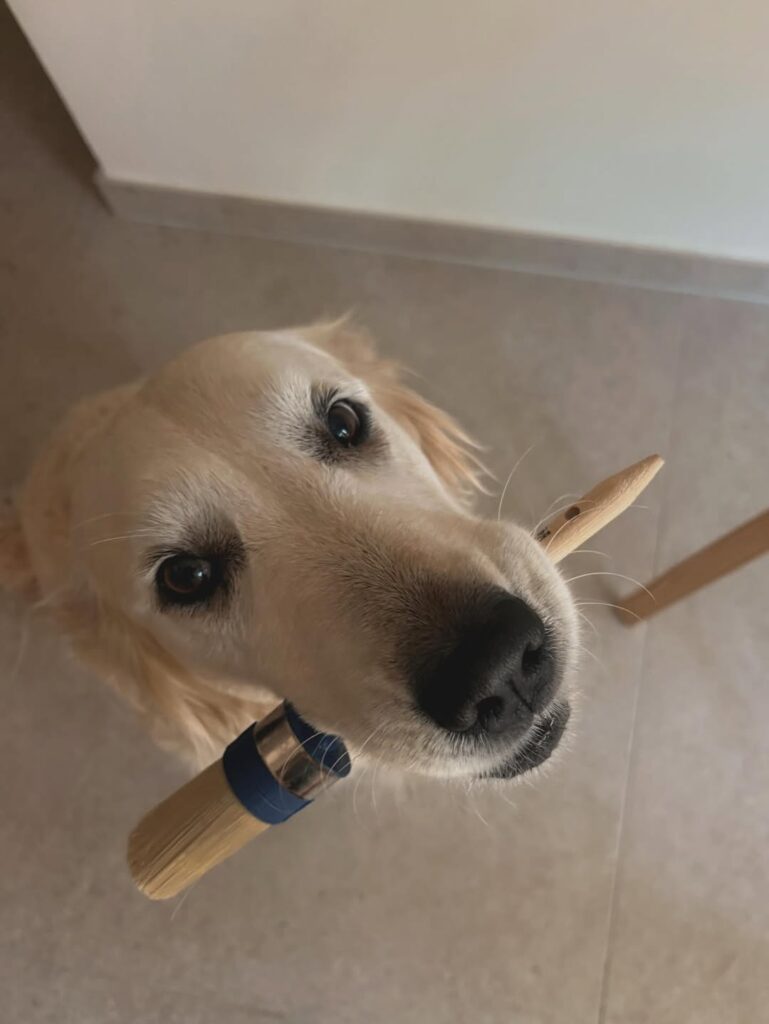 Image source: Instagram@quiet.brush.art