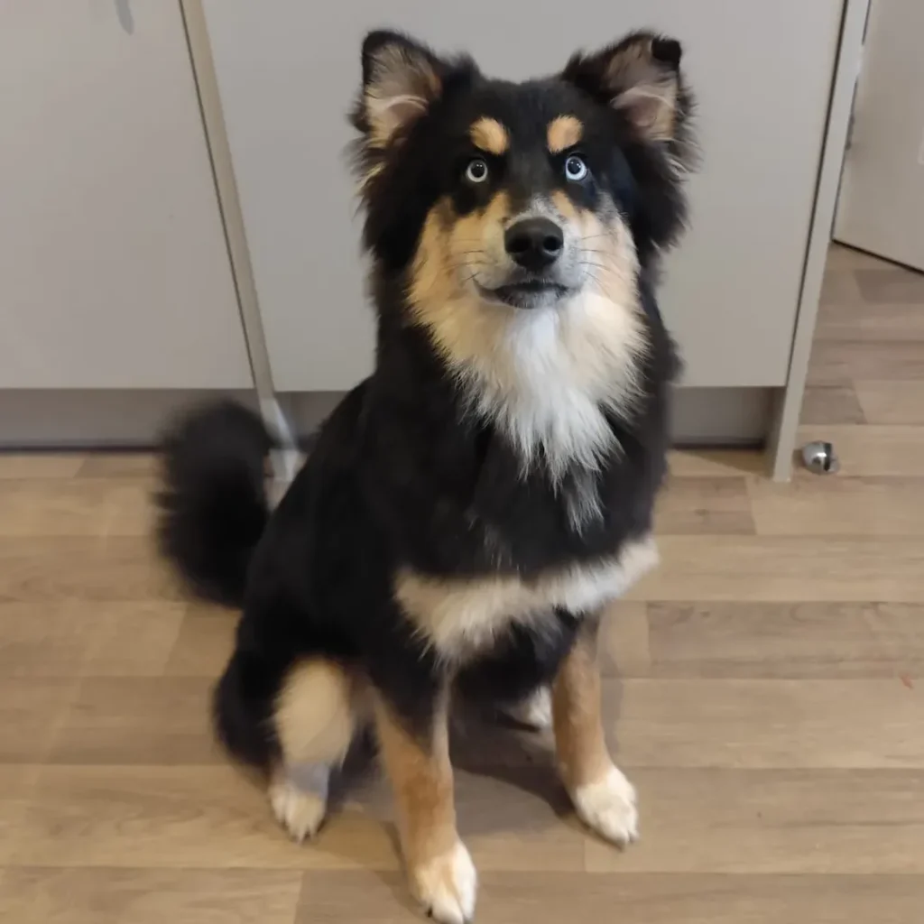 Instagram@jessie_blu_life