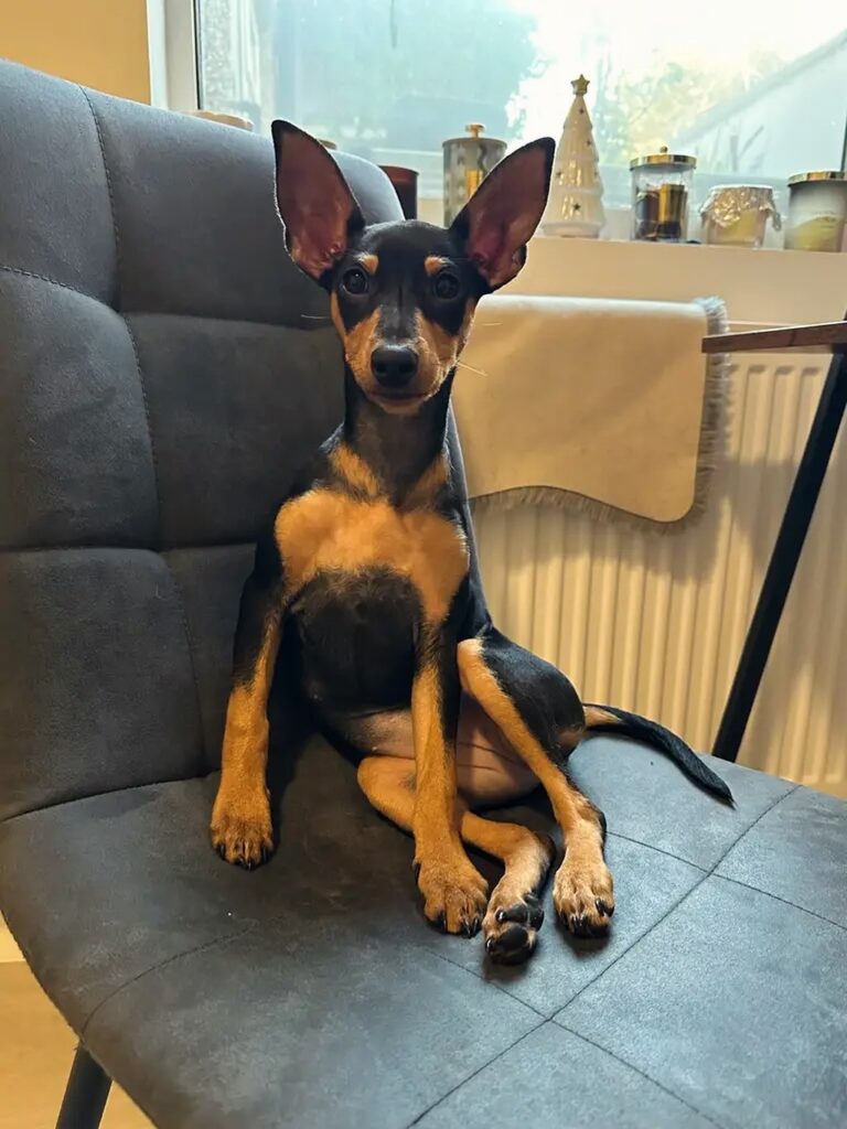 Image source: Instagram@kingrock_summer_shower