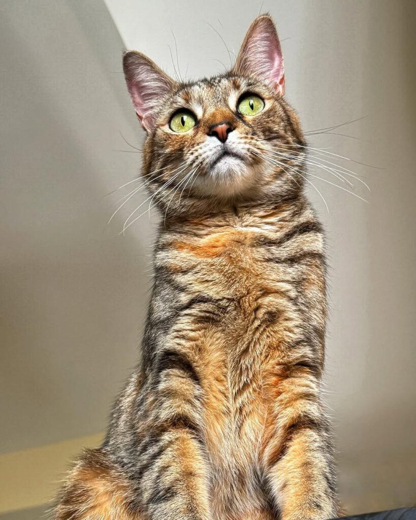 Image source: Instagram@gailofthegarden