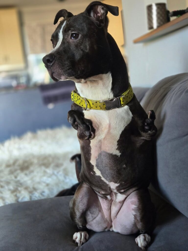 Image source: Instagram@masharoo2