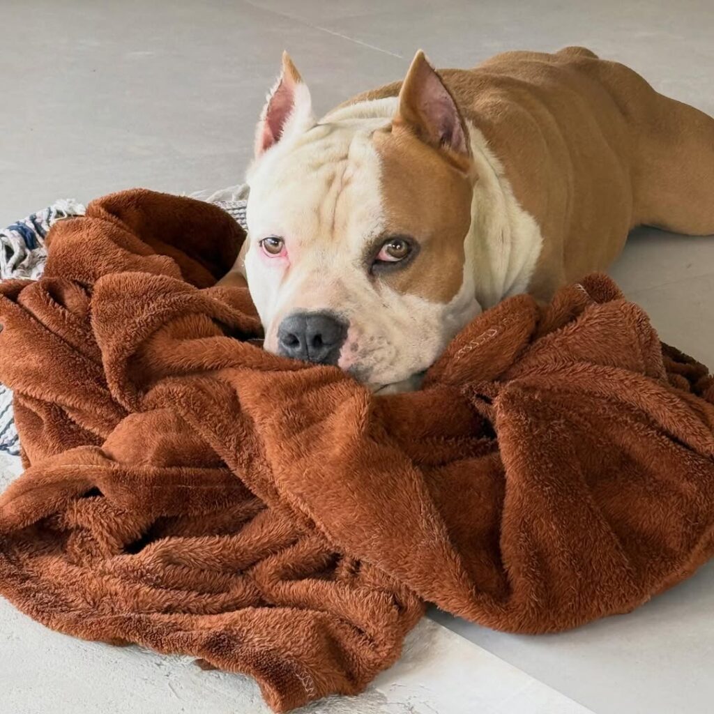 Instagram@ragnar.mallabrigo