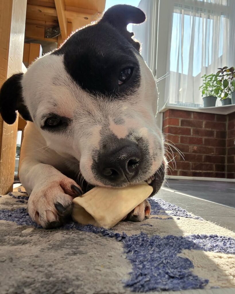 Image source: Instagram@lady.m.smile_