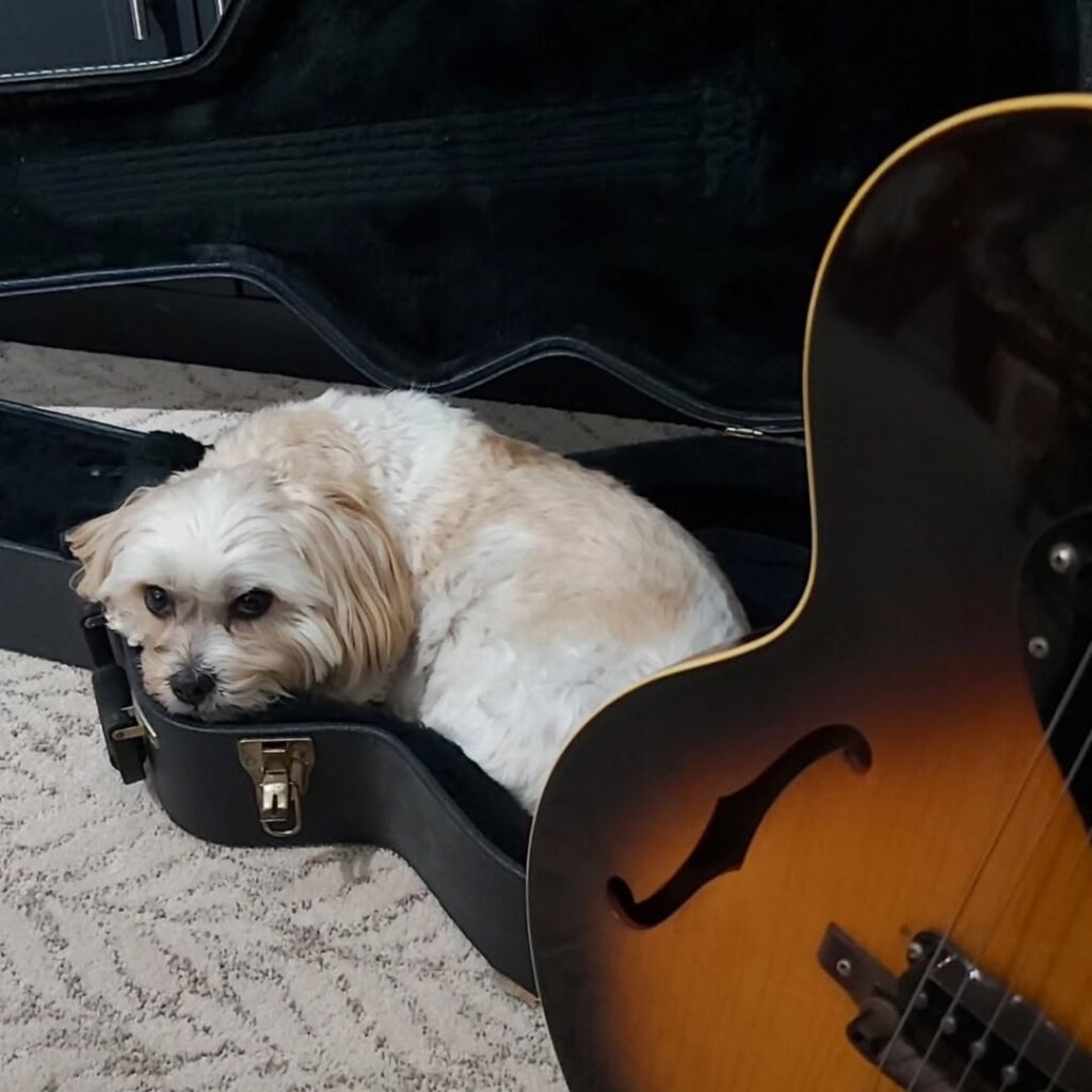 Image source: Instagram@luna_beanzee