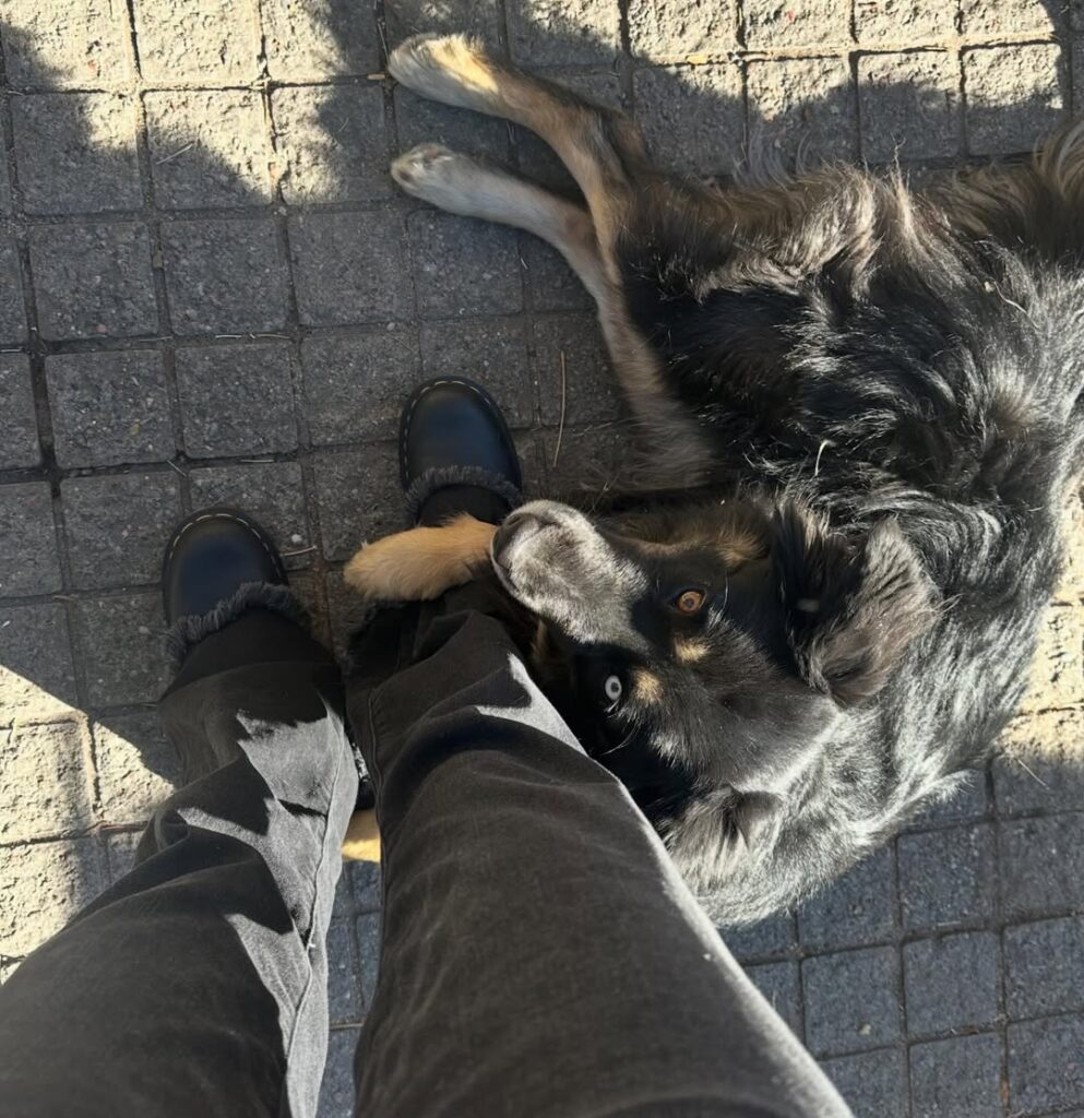 Image source: Instagram@badass_yogi7