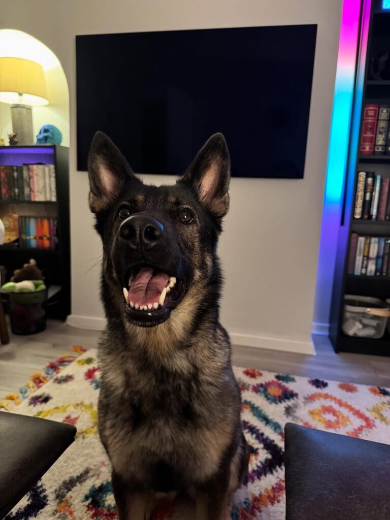 Image source: Instagram@skyegsd23