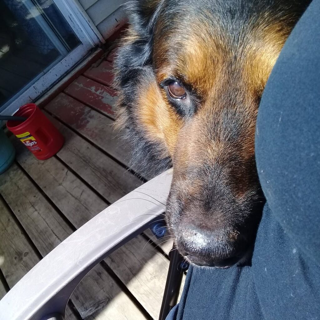 Image source: Instagram@maureenl8110