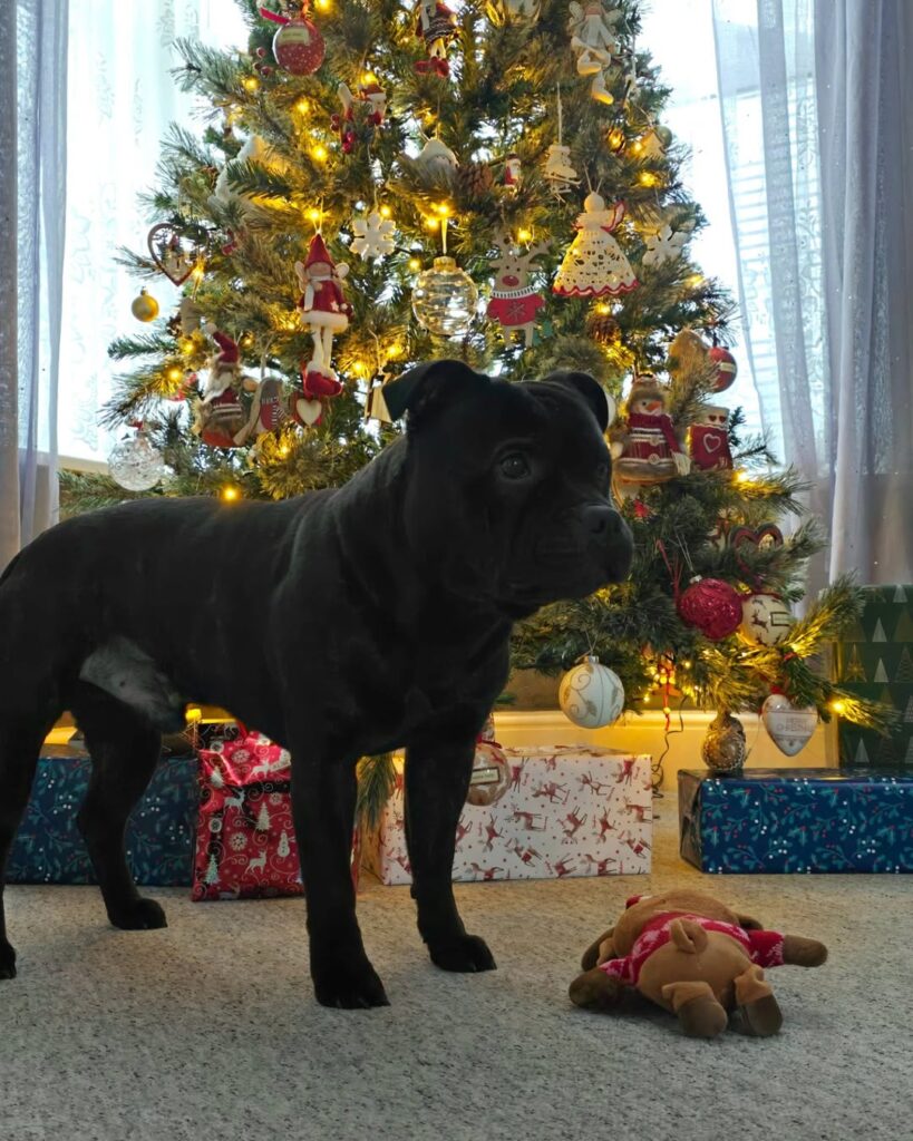 Image source: Instagram@lady.m.smile_