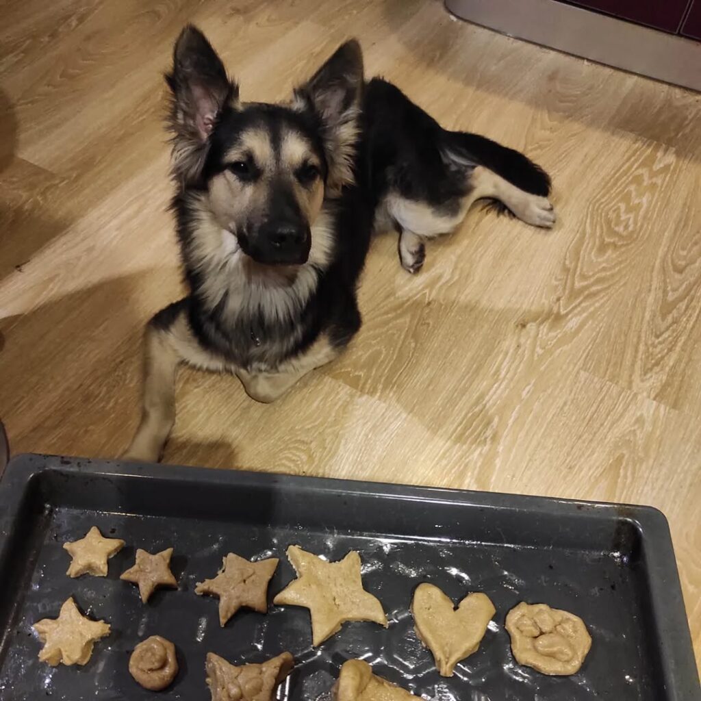 Image source: Instagram@o_ovcharik