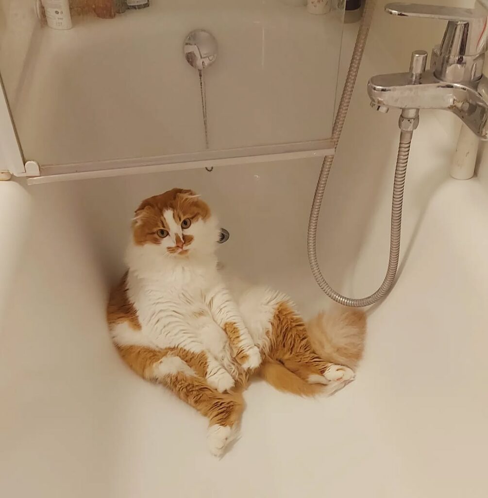 Instagram@ceramomama_