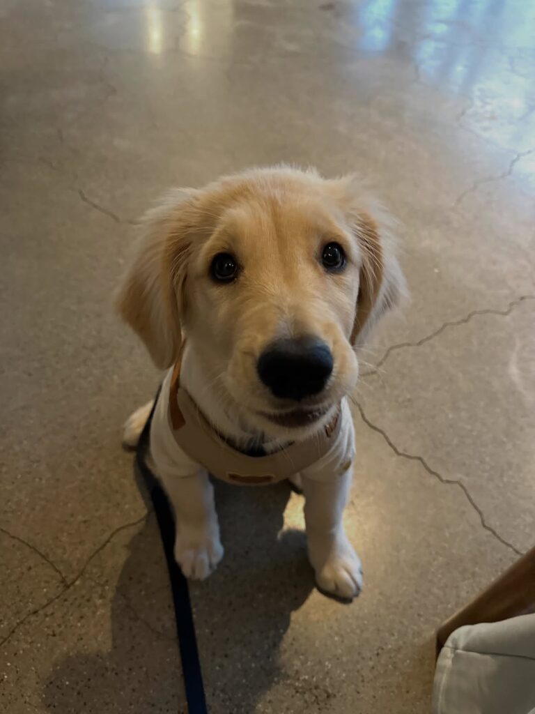 Instagram@lilgolden.troubleclub