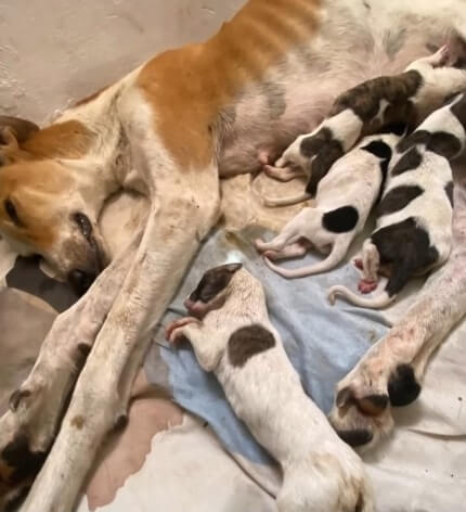 Aura's condition when she was found