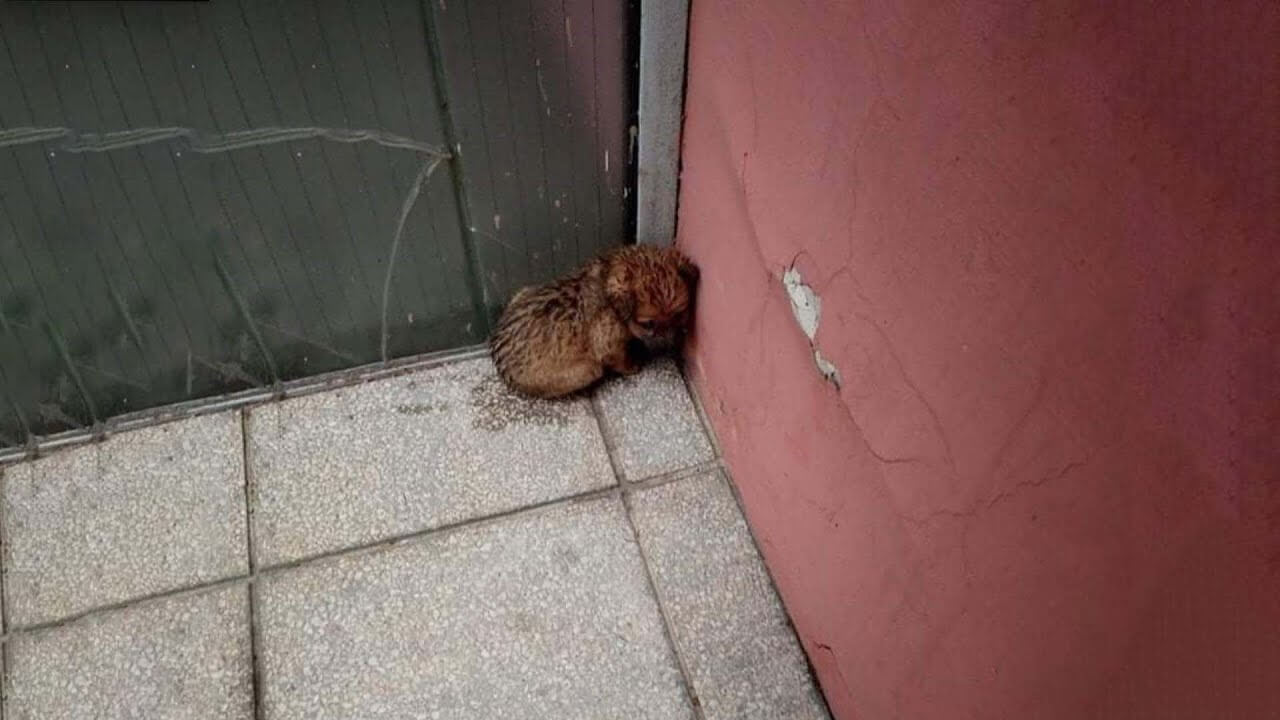 Grace was found like this