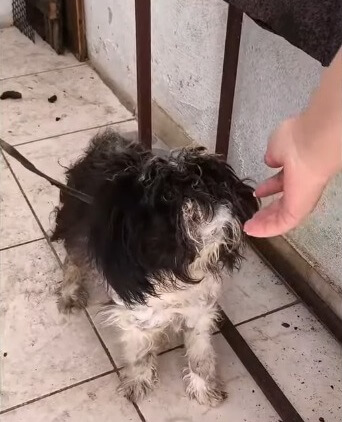 Her condition when she was found