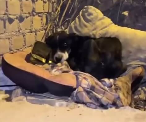 How Bastian was found