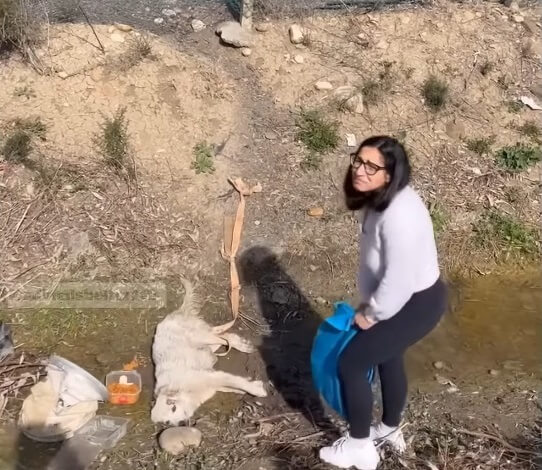 How Blanca was found