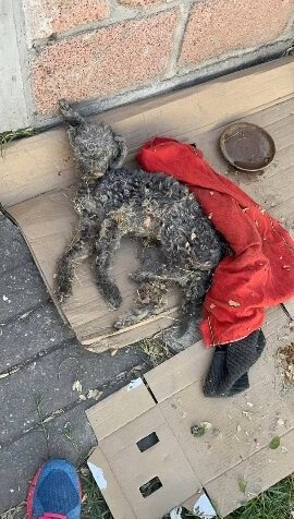 How Chiquihuite was found