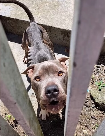 How Magnito was found